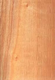 MADERA MELINA